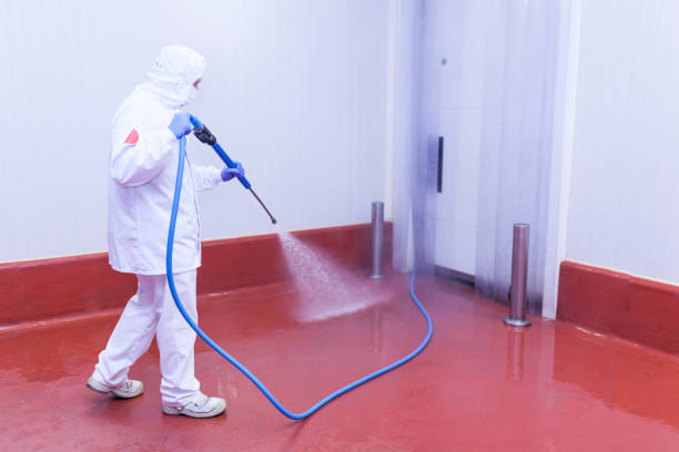 Best Dumpster Area Cleaning  in Graton, CA